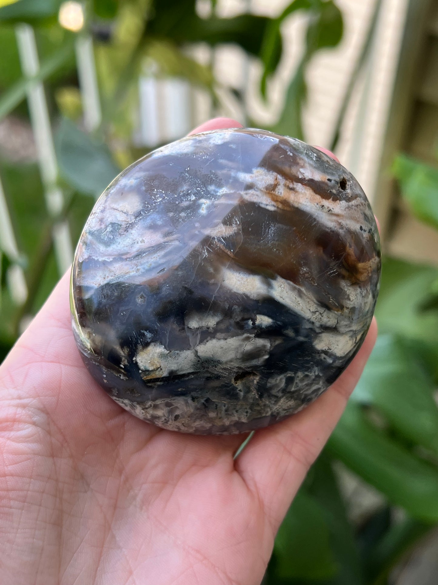 Ocean Jasper Palm Stones | Large