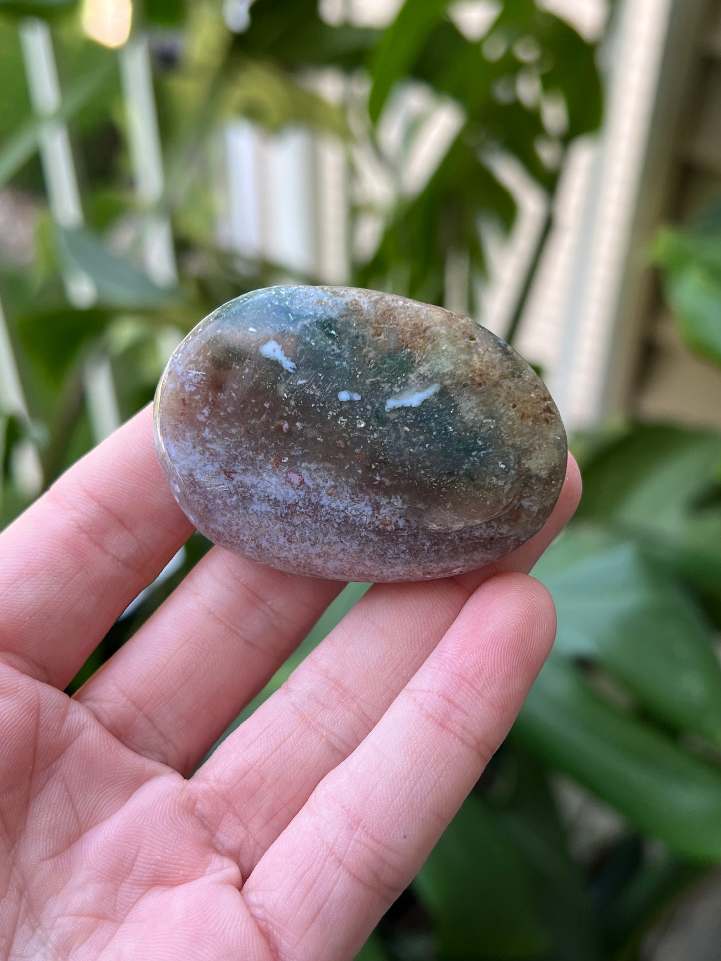 Ocean Jasper Palm Stones | Small