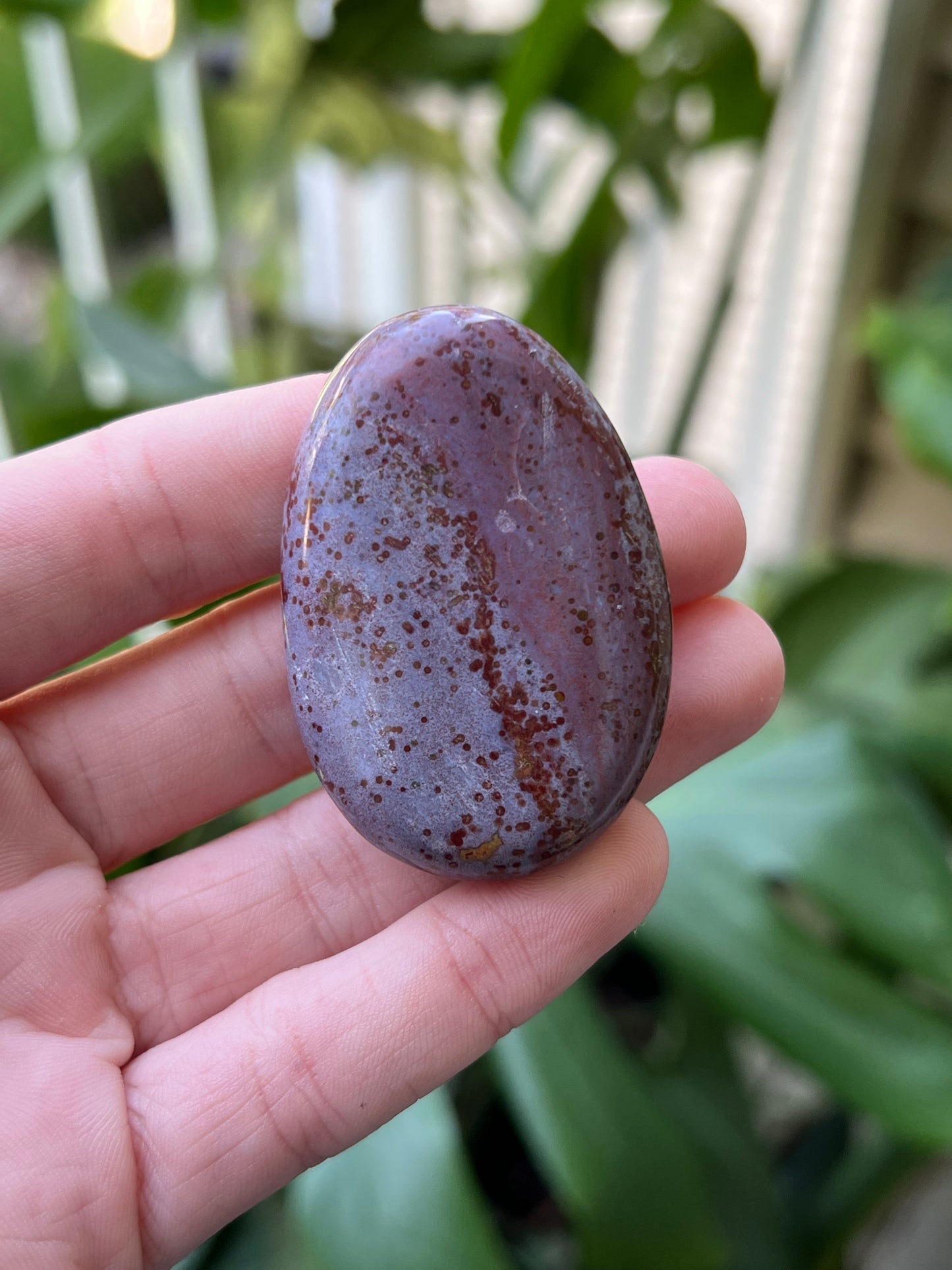 Ocean Jasper Palm Stones | Small