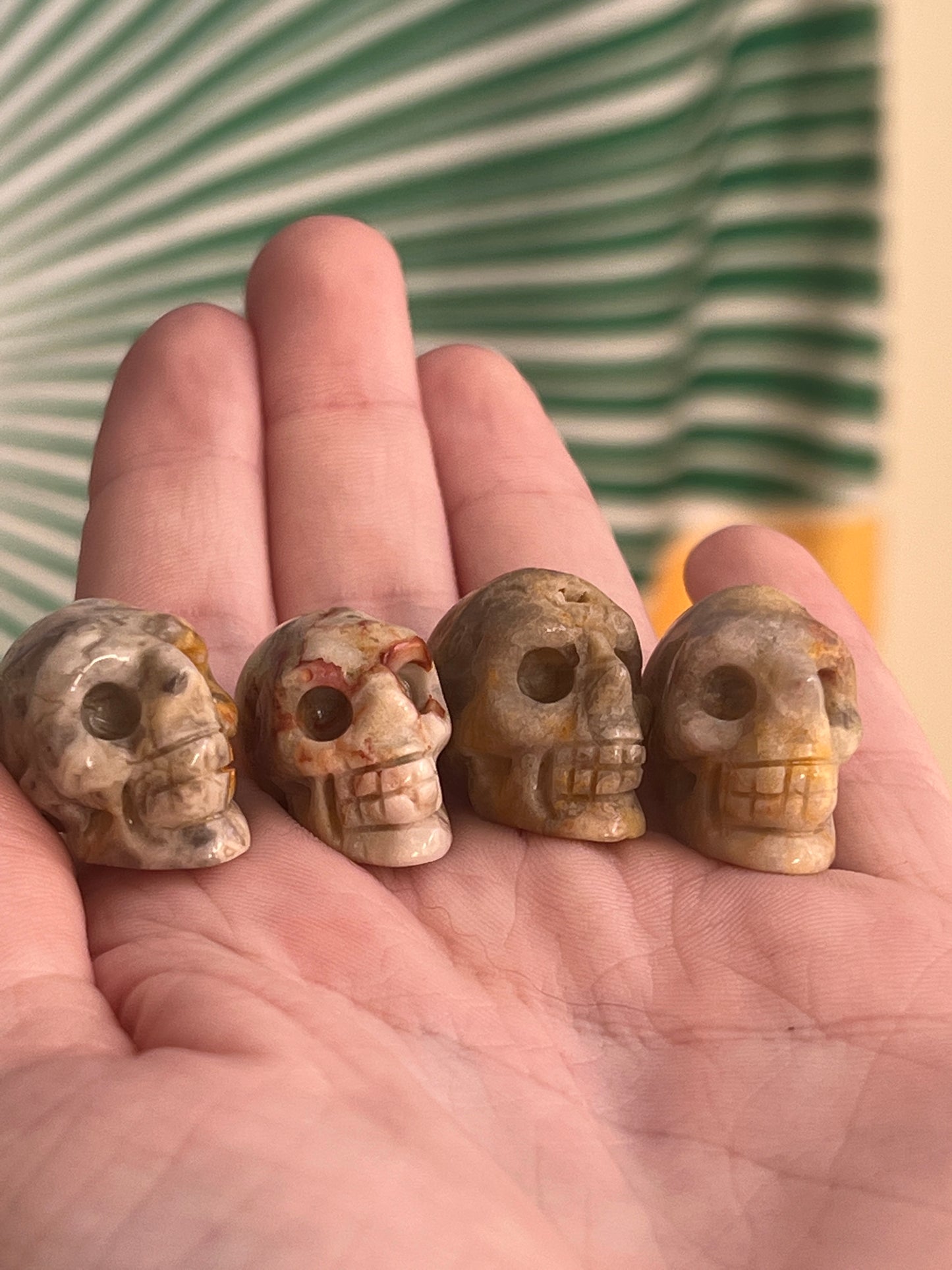 Crazy Lace Agate Skull | Mini