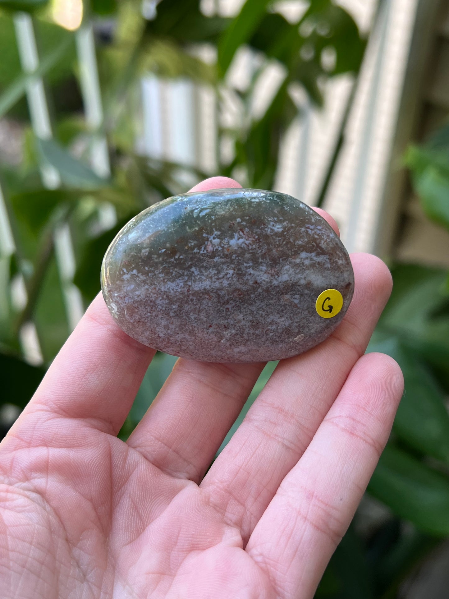 Ocean Jasper Palm Stones | Small