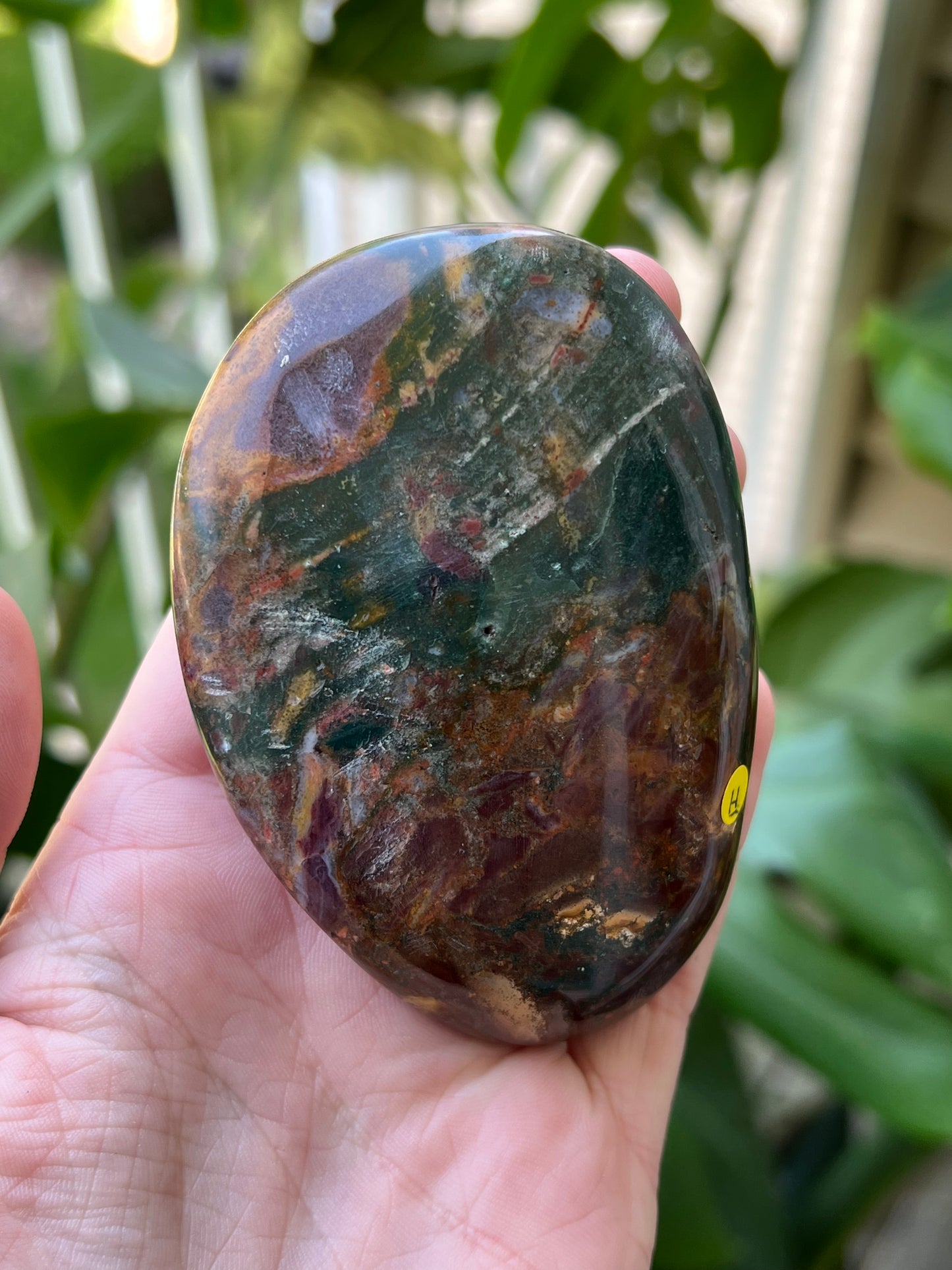 Ocean Jasper Palm Stones | Large