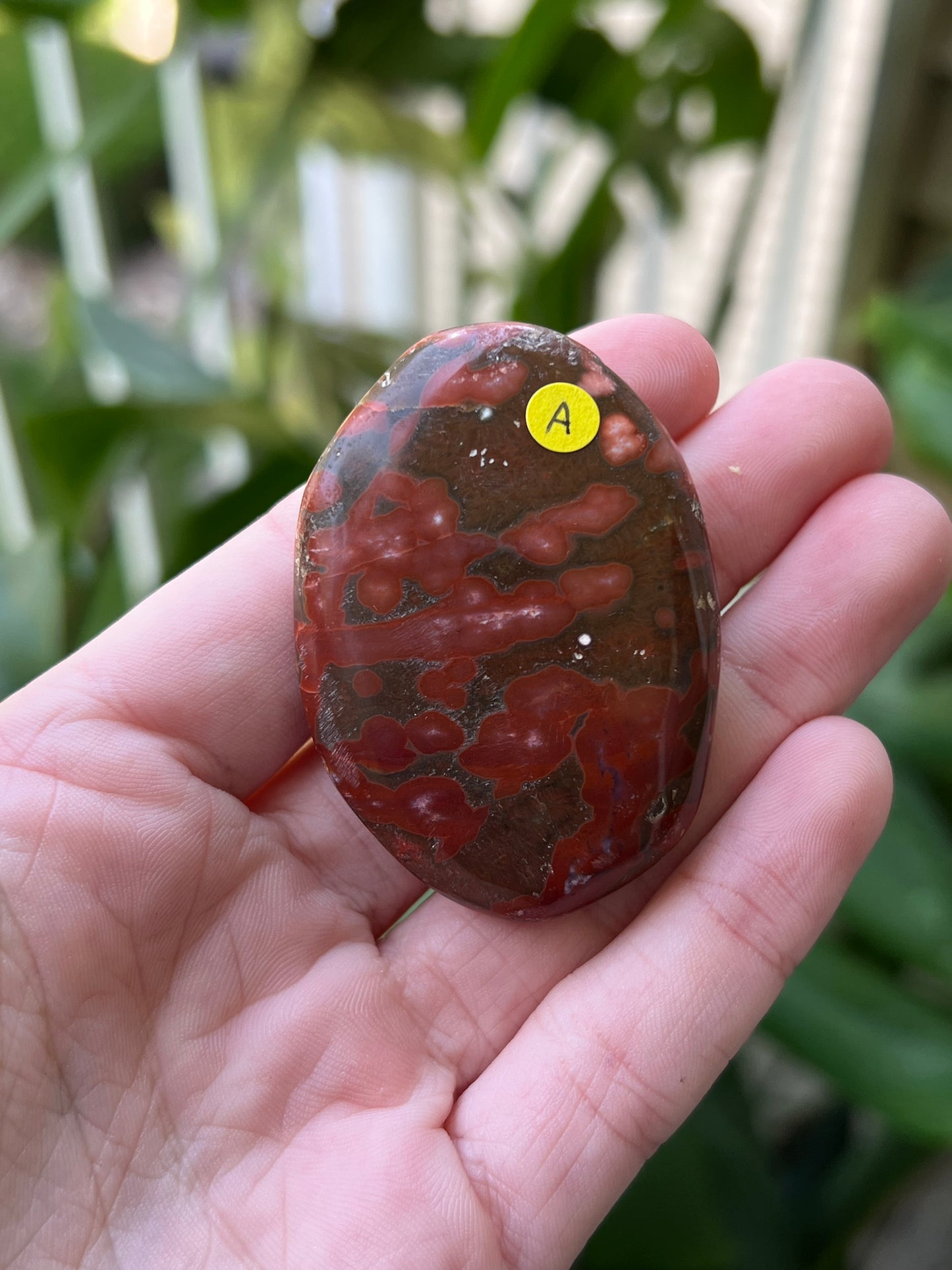 Ocean Jasper Palm Stones | Small