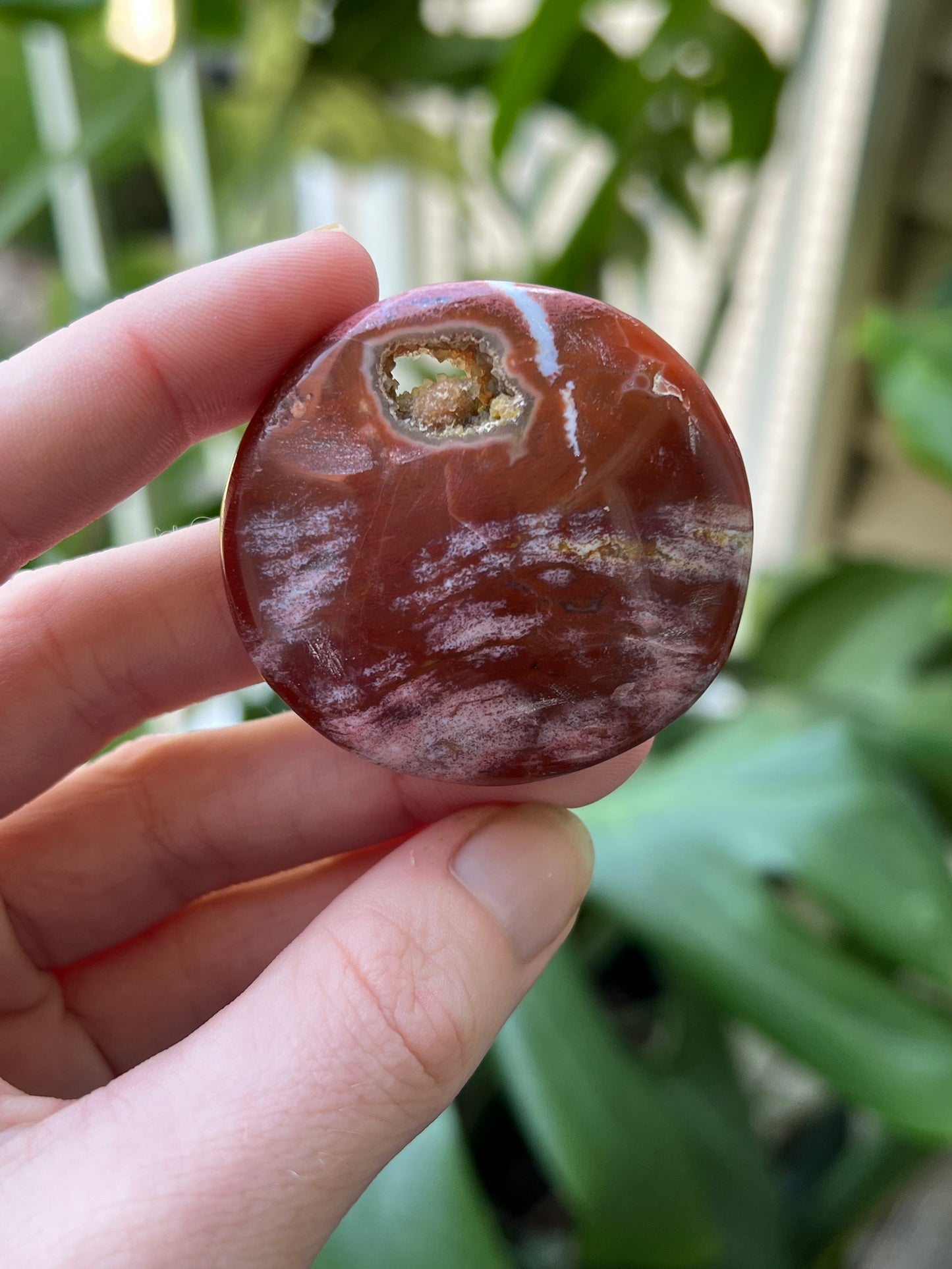 Ocean Jasper Palm Stones | Small