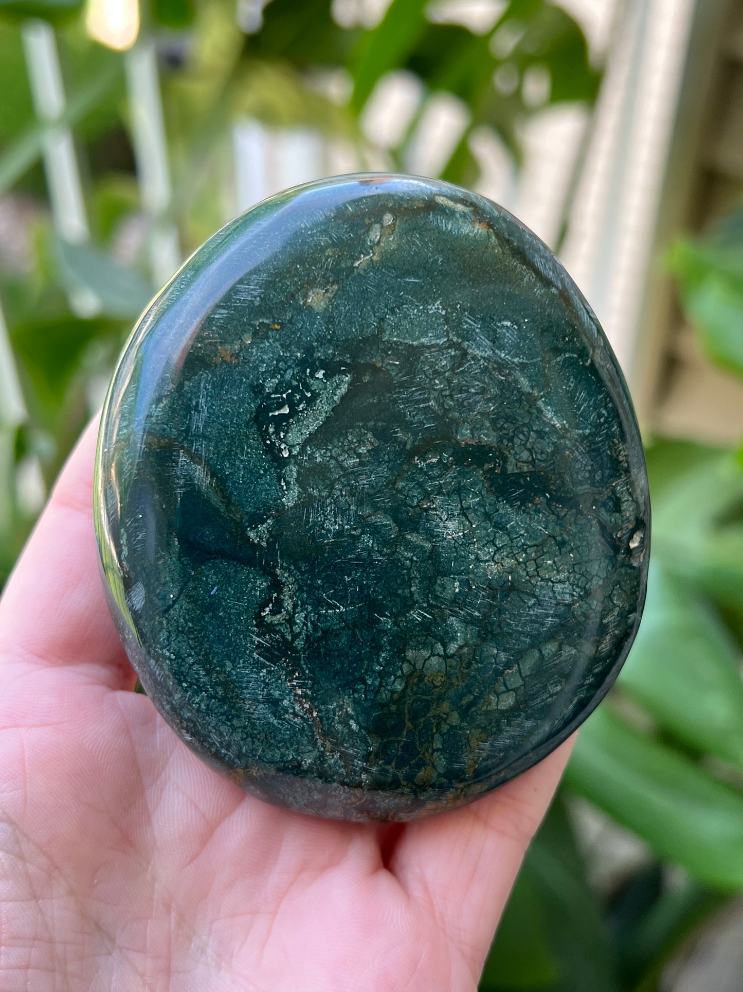 Ocean Jasper Palm Stones | Large