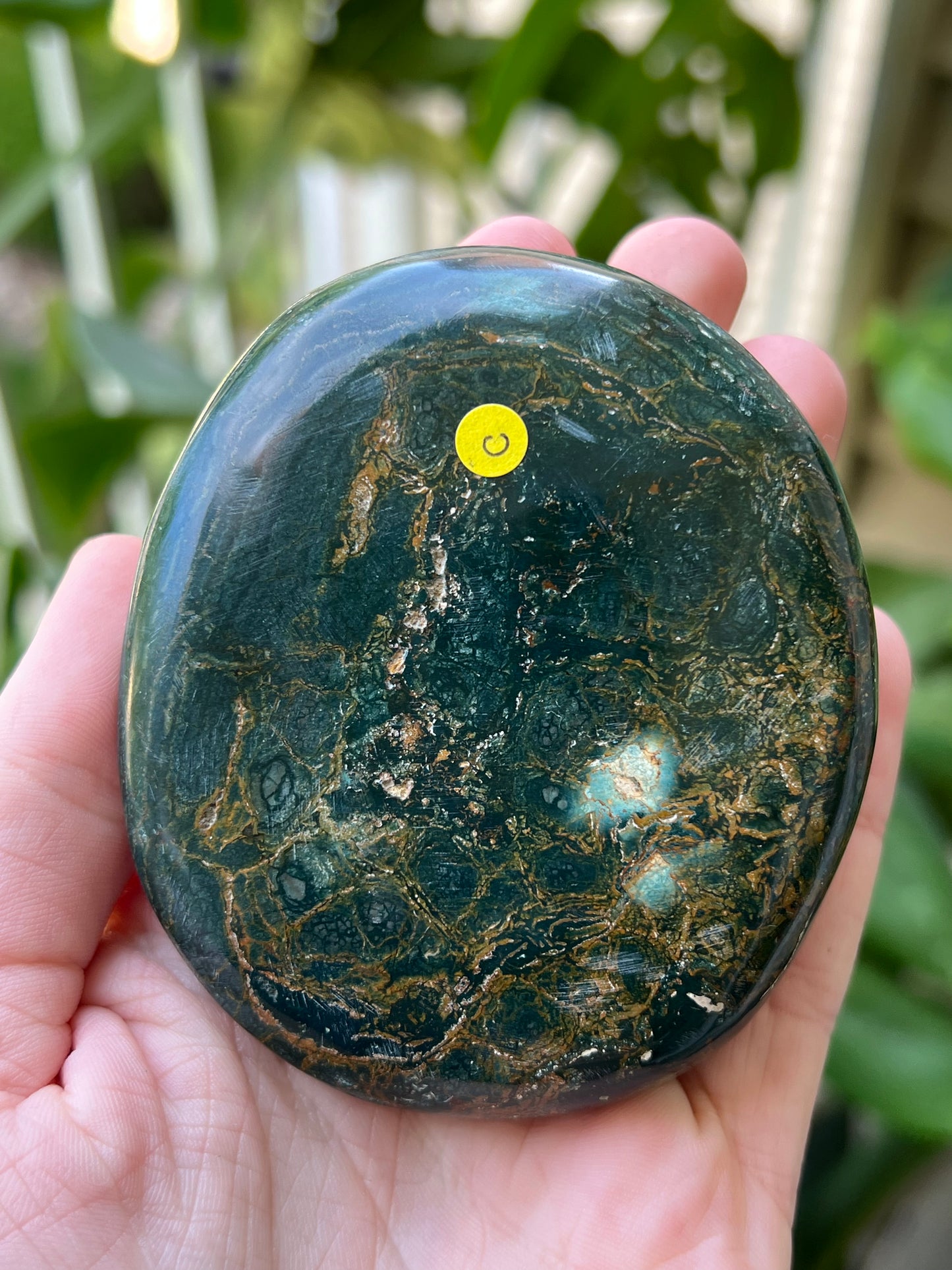 Ocean Jasper Palm Stones | Large