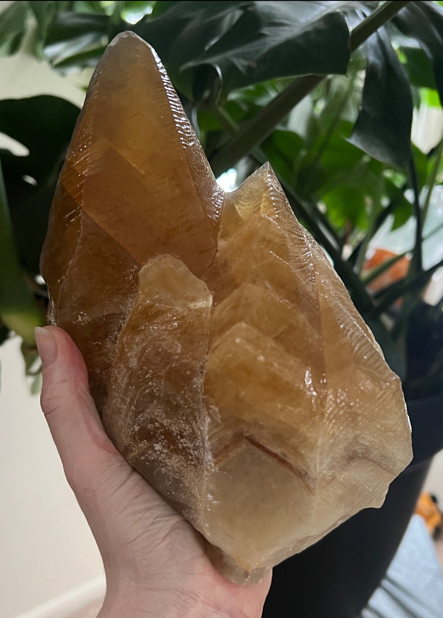 Dog Tooth Honey Calcite