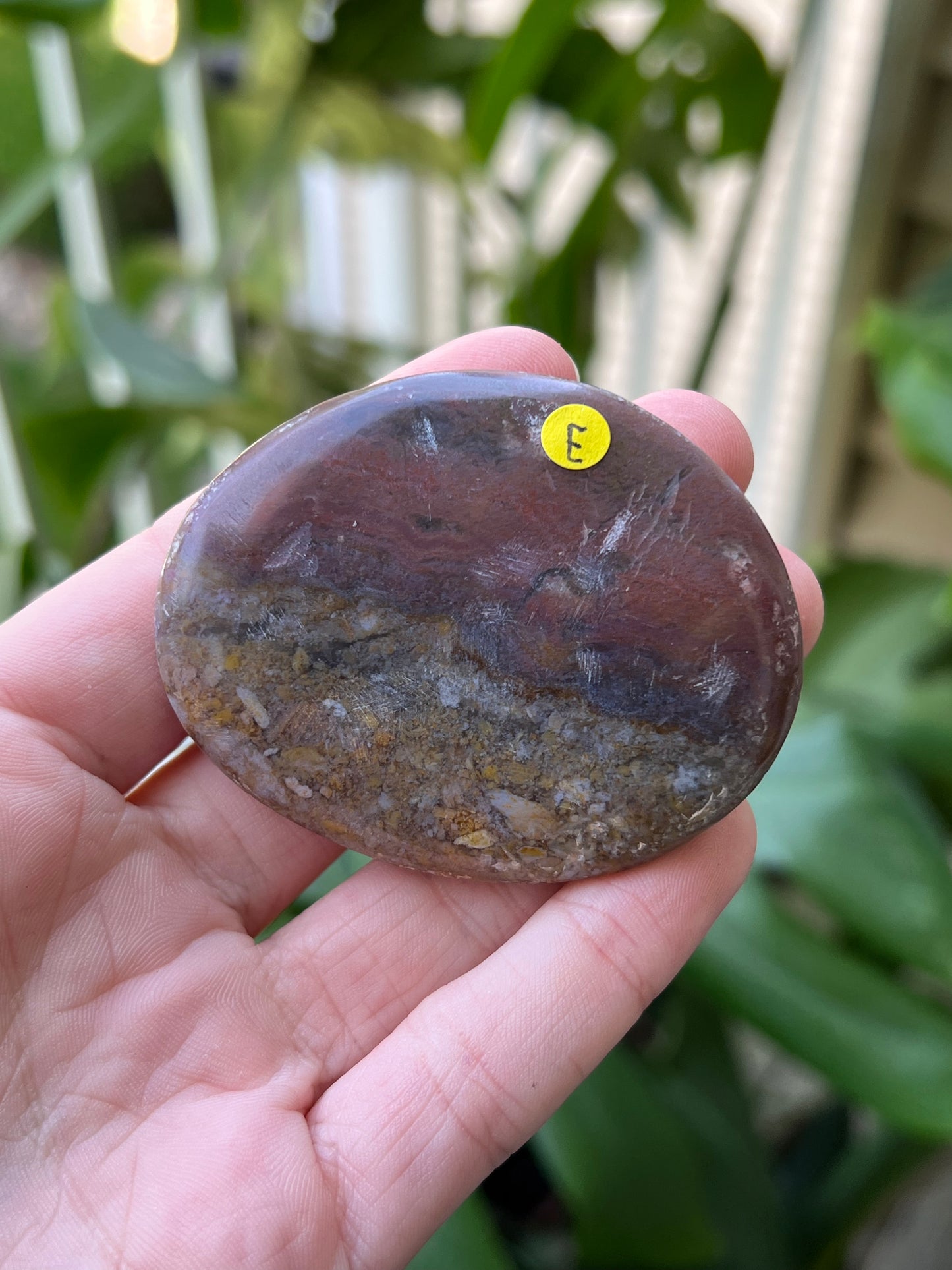 Ocean Jasper Palm Stones | Small