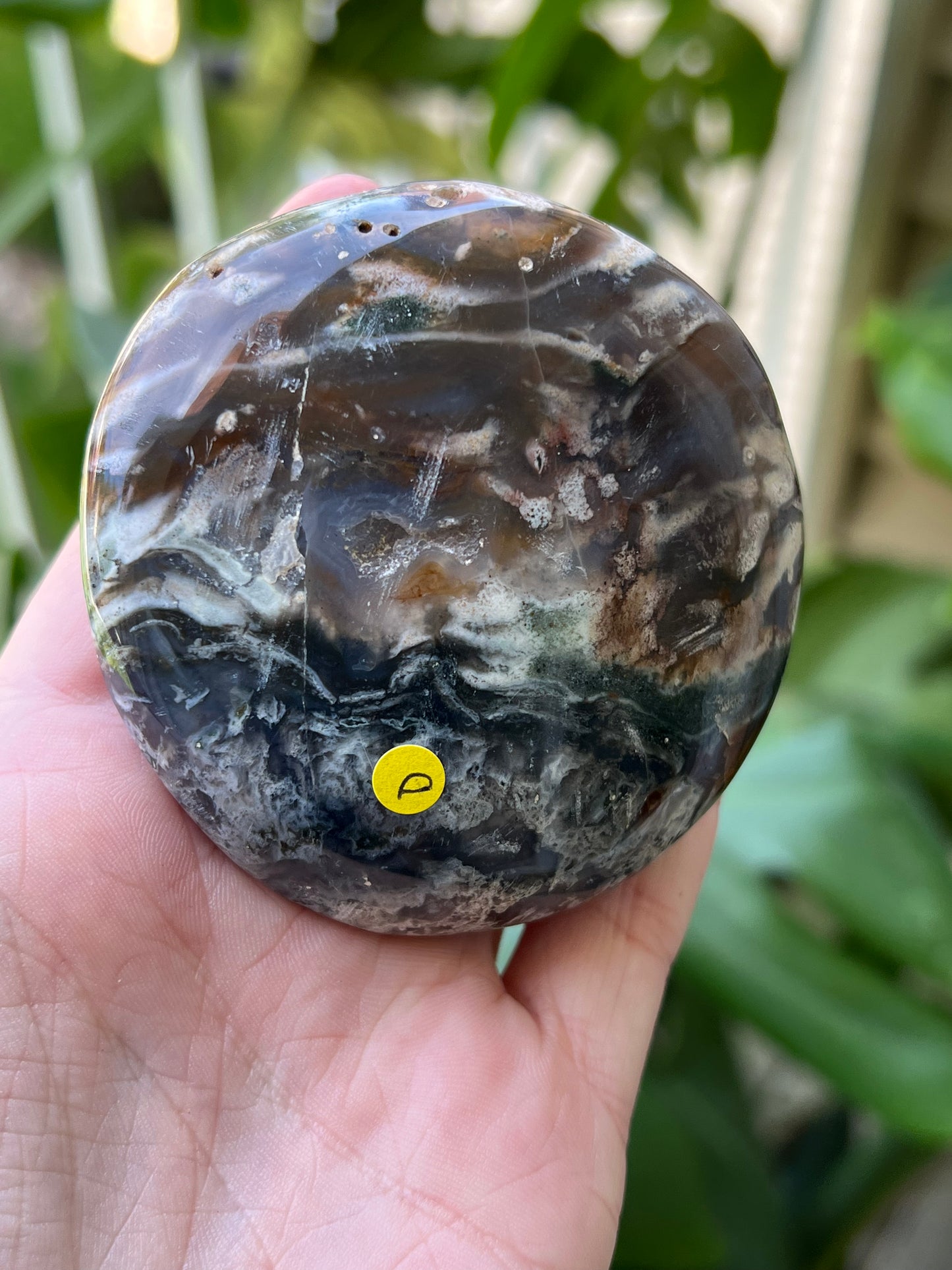 Ocean Jasper Palm Stones | Large