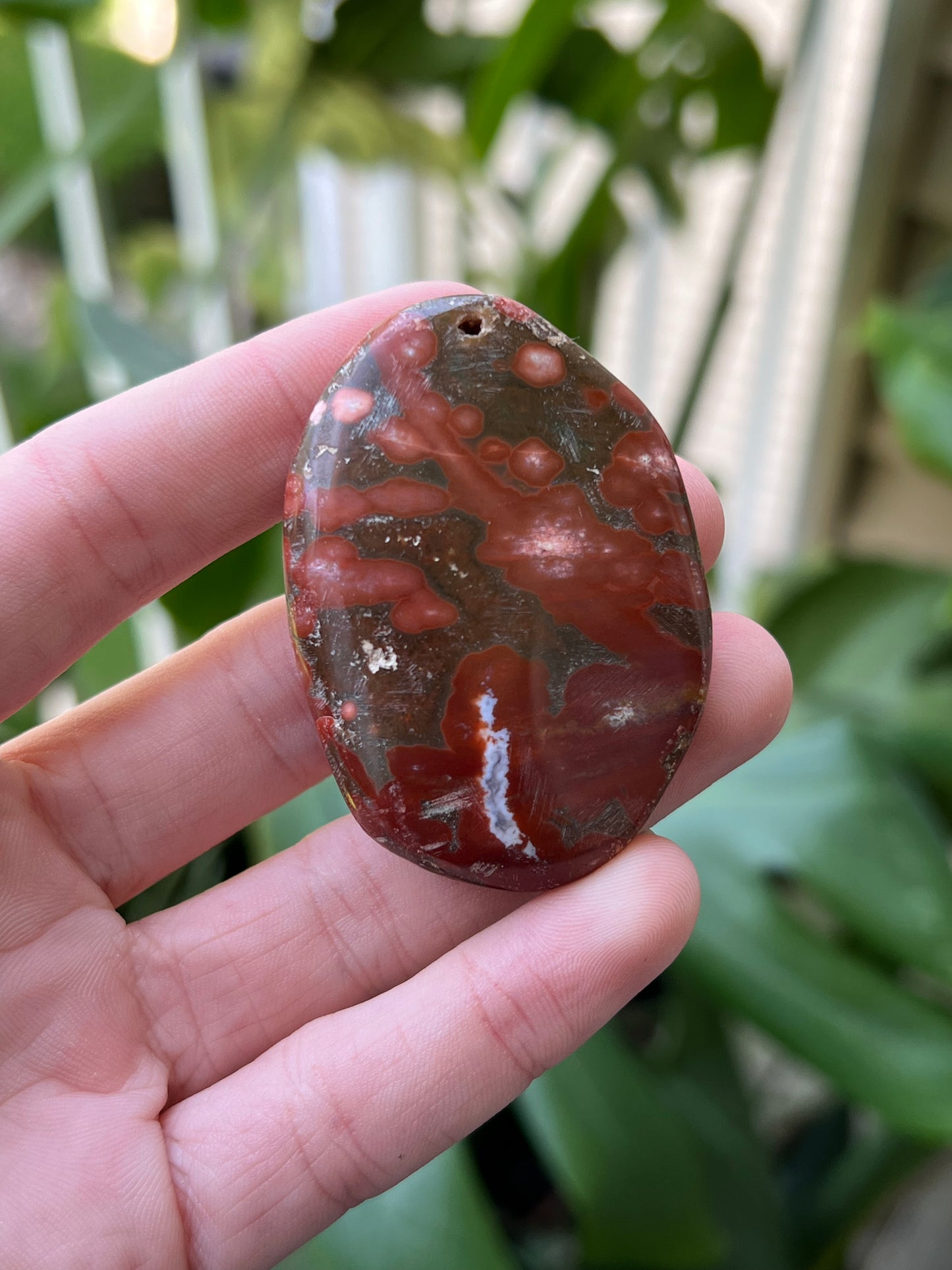 Ocean Jasper Palm Stones | Small