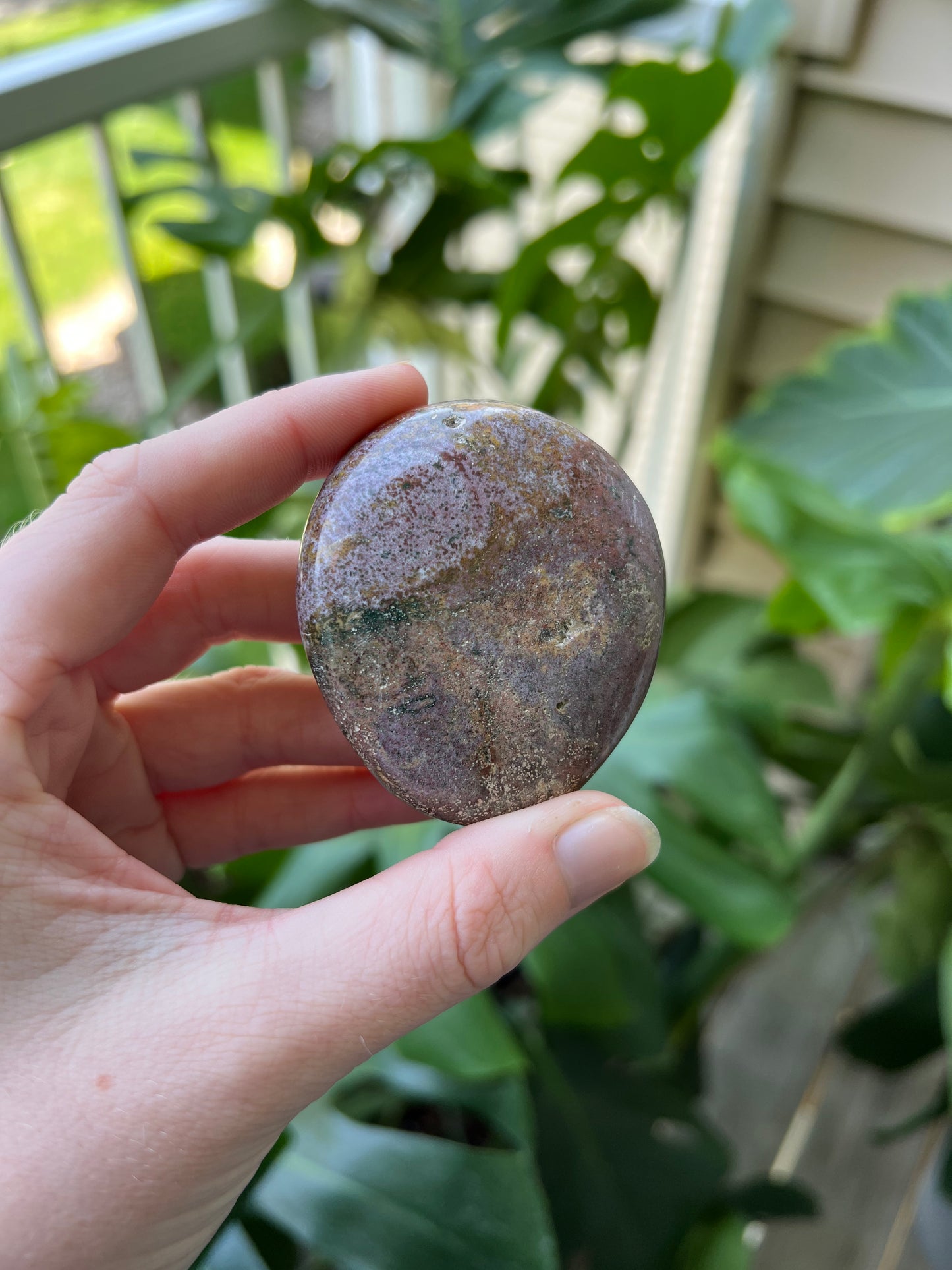 Ocean Jasper Palm Stones | Large