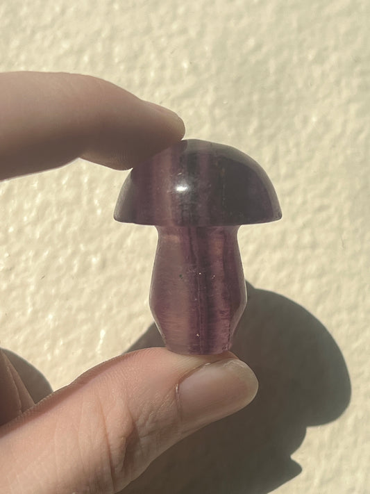 Purple Fluorite Mushroom