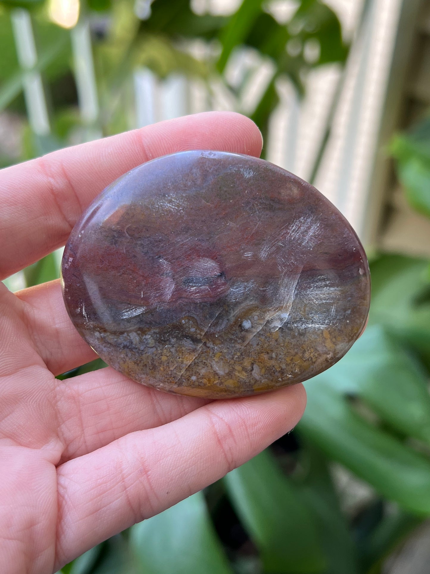 Ocean Jasper Palm Stones | Small